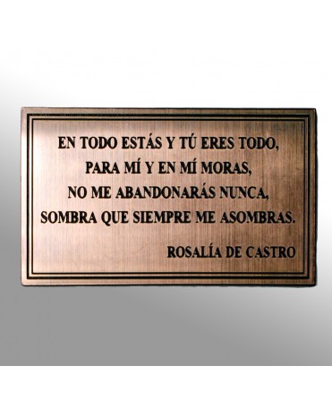 Placa plastico grabada grande bronce/negro